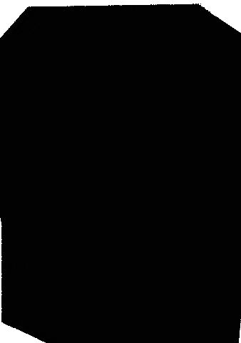 Dal Dalhousieu GIF by Dalhousie University
