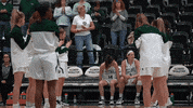 Iwutitans Tgoe GIF by iwusports