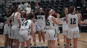 Iwutitans Tgoe GIF by iwusports