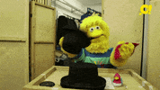 Comedy Actor GIF by Kanal O!