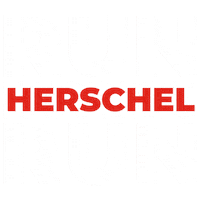 Election Georgia Sticker by Team Herschel