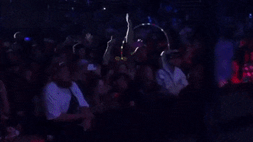 Party Concert GIF by LAW Records