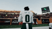 College Football GIF by USF Athletics