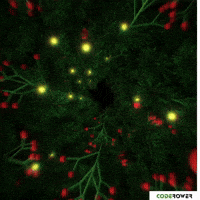 Cheers Fireworks GIF by CodeRower