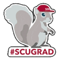 Congrats Graduation Sticker by SantaClaraUniversity