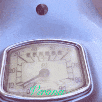 Vintage Italy GIF by Vespa Club Verona