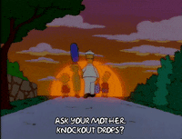 homer simpson GIF