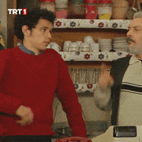 Deli Seksenler GIF by TRT