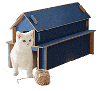Make Over Home Sticker by Samsung_Indonesia