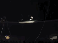 shawn michaels wrestling GIF by WWE