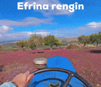 Afrin GIF