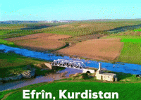Kurdistan Kurd GIF