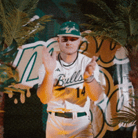 South Florida Baseball GIF by USF Athletics
