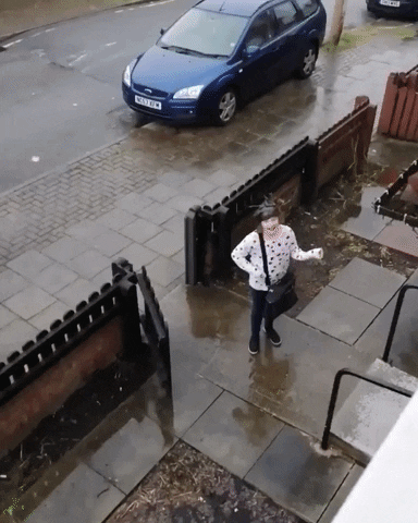 laramulady giphyupload GIF