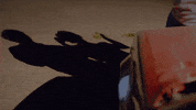 thomas middleditch heads GIF by Entanglement