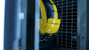 Go Blue Ncaa Football GIF by Michigan Athletics
