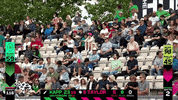 Cricket GIF by The Hundred