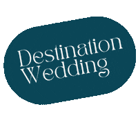 Wedding Love Sticker by jacinthapelgrumphotography