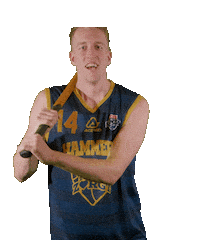 Basketball Center Sticker by Landstede Hammers