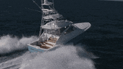 vikingyachtcompany vikingyachts leadingtheindustry 44open viking44 GIF