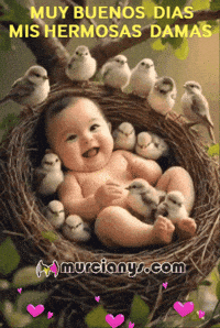 Muy Buenos Dias Feliz GIF by Murcianys LLC