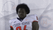 Carson Newman Football GIF by Carson-Newman Athletics
