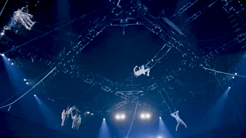 Catch Flying GIF by Ringling Bros. and Barnum & Bailey