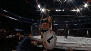 ufc mma GIF