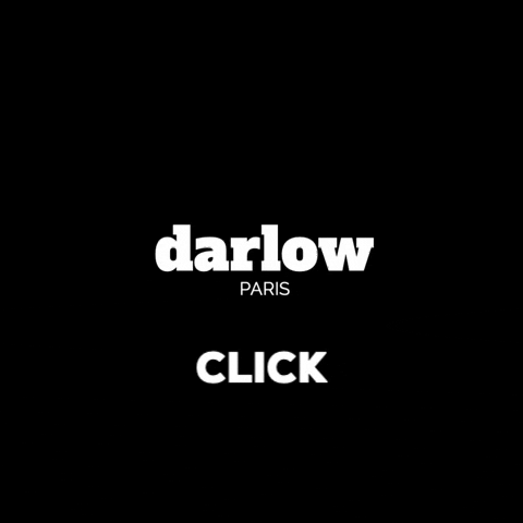 darlowparis giphygifmaker agence web darlow creation site web GIF
