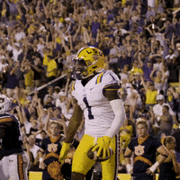 Lsu Football GIF by LSU Tigers