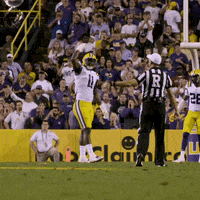 Lsu Football GIF by LSU Tigers