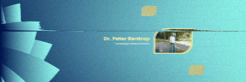 drpeterrentrop giphygifmaker GIF