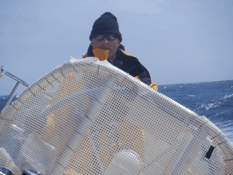 JamesFeldkamp giphygifmaker giphyattribution james feldkamp GIF