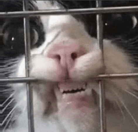 Yearn Pedro Pascal GIF by hamlet