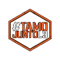 Tamojuntol3 Sticker by Academia L3