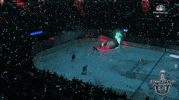 ice hockey sport GIF by NHL