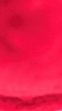 Chopper Plushie GIF by Youtooz