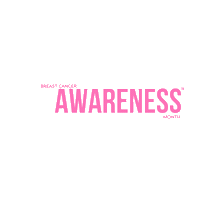 laurenpinkfund  Sticker
