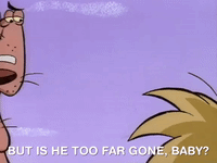 nickrewind nicksplat angry beavers GIF