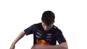 Red Bull Sr Sticker by Oracle Red Bull Racing