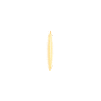 nuhunankaramakarnasi pasta makarna spagetti nuhun ankara Sticker