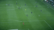 Top Asse GIF by AS Saint-Étienne