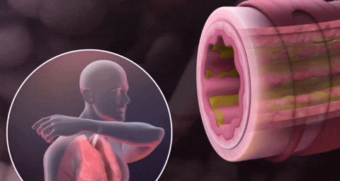 chaycoi01 giphyupload GIF