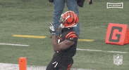 National Football League GIF by NFL