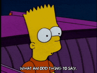 season 5 what an odd thing to say GIF