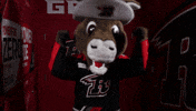 Lets Go Sport GIF by Rapid City Rush