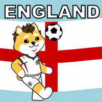 Fifa World Cup Soccer GIF by Dogelon Mars