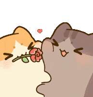 Cats Hello Sticker by Bichi Mao