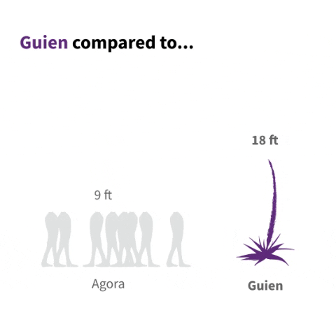 crunes giphygifmaker GIF