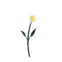 Flores Sticker by byflorecer